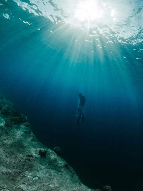 a person swimming in the ocean on a sunny day, a picture, by Sebastian Spreng, unsplash contest winner, a dark underwater scene, award winning cinematic, mariana trench, taken in 2 0 2 0