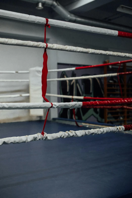 a close up of a boxing ring with ropes, by Jessie Algie, happening, inside building, bandages, profile image, ribbons