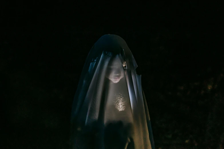 a close up of a person in a ghost costume, by Elsa Bleda, pexels contest winner, serial art, wearing a veil, yume nikki, elle fanning at night, hyperreal movie shot