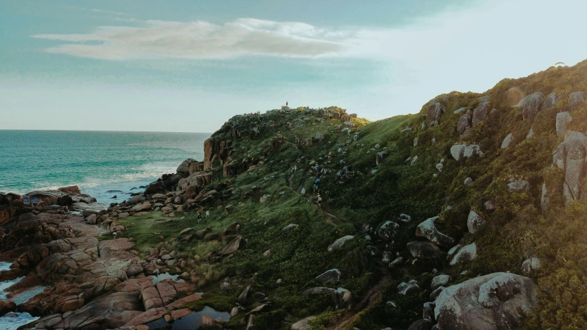 a herd of sheep standing on top of a lush green hillside, pexels contest winner, happening, rocky coast, magic hour, lachlan bailey, slightly pixelated
