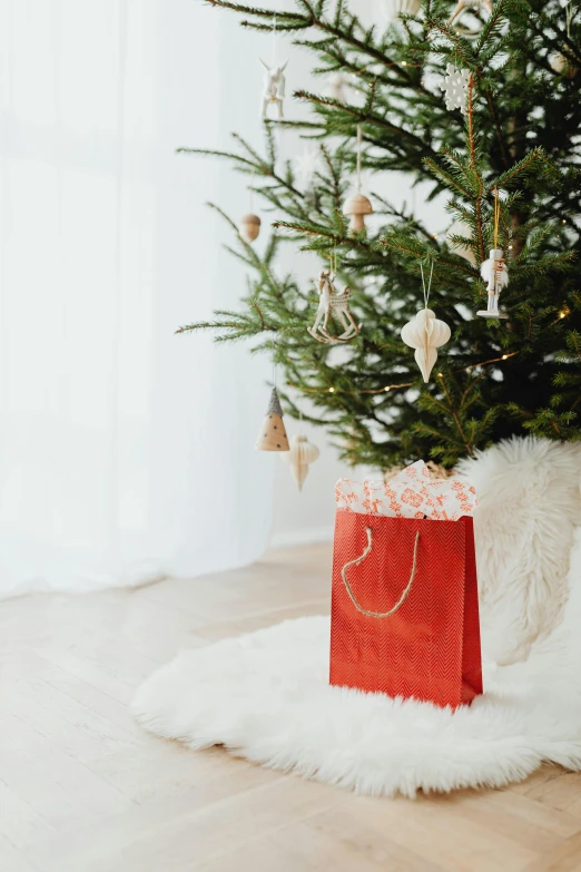 a small christmas tree sitting next to a red bag, pexels, cozy home background, multiple stories, blank, 1 2 9 7