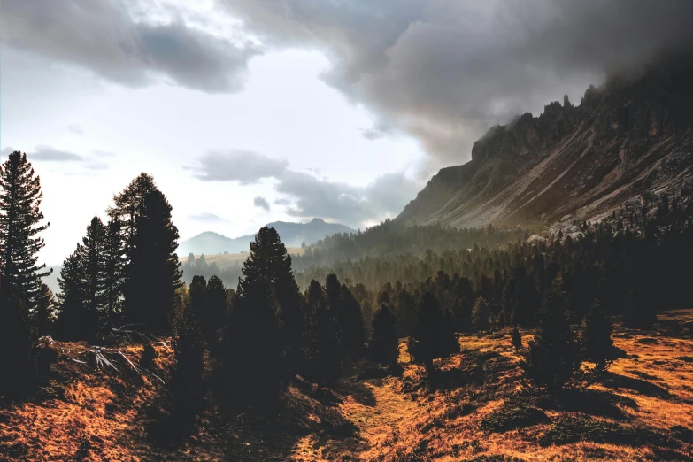 a group of trees sitting on top of a lush green hillside, a matte painting, pexels contest winner, autumn mountains, dark pine trees, dolomites, distant mountains lights photo