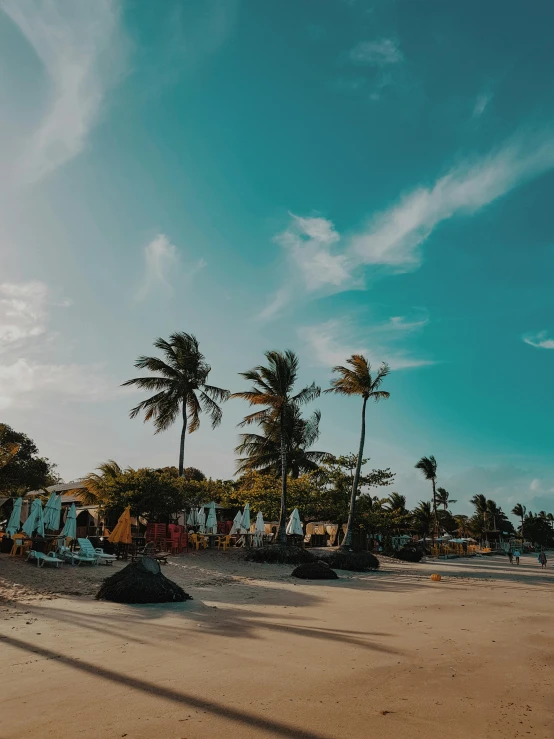 a sandy beach with lounge chairs and palm trees, pexels contest winner, happening, thumbnail, shot on gopro9, high quality image