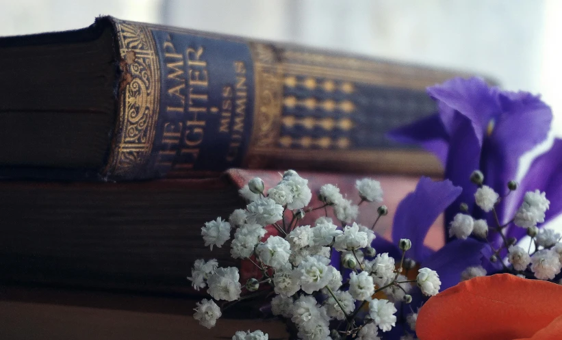 a stack of books sitting on top of a table, a still life, inspired by Lawrence Alma-Tadema, pexels contest winner, romanticism, gypsophila, coloured photo, low detail, victorian setting