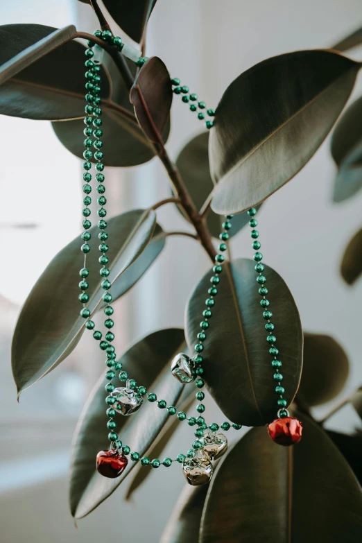 a close up of a plant with beads on it, unsplash, renaissance, wearing several pendants, new orleans, full length shot, holiday