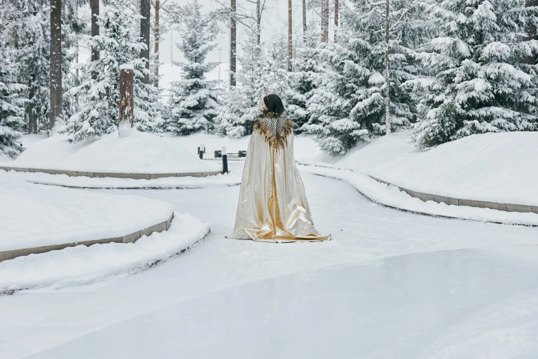 a woman standing in the middle of a snow covered park, an album cover, inspired by Viktor Vasnetsov, pexels contest winner, baroque, white and gold priestess robes, lapland, wearing a king's cape, walking on ice