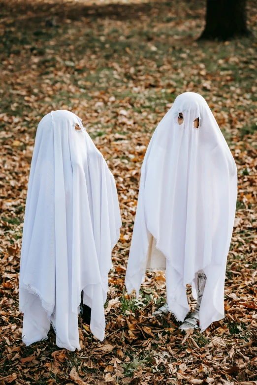 two ghosts standing next to each other in a forest, fancy dress, plain, trick or treat, wearing white cloths