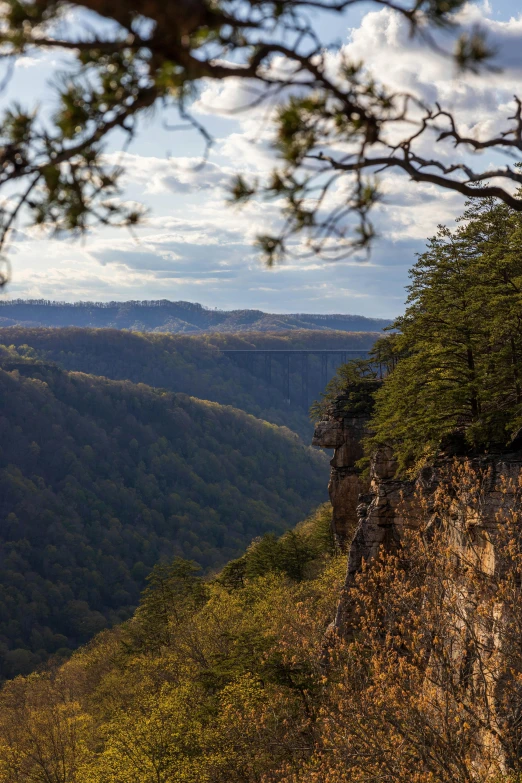 a view of the mountains from the top of a mountain, overhanging branches, high walls, looking over west virginia, canyon