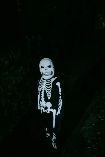 a person in a skeleton costume standing in the dark, pexels, little kid, low quality photo, real-life brook, in a dark field