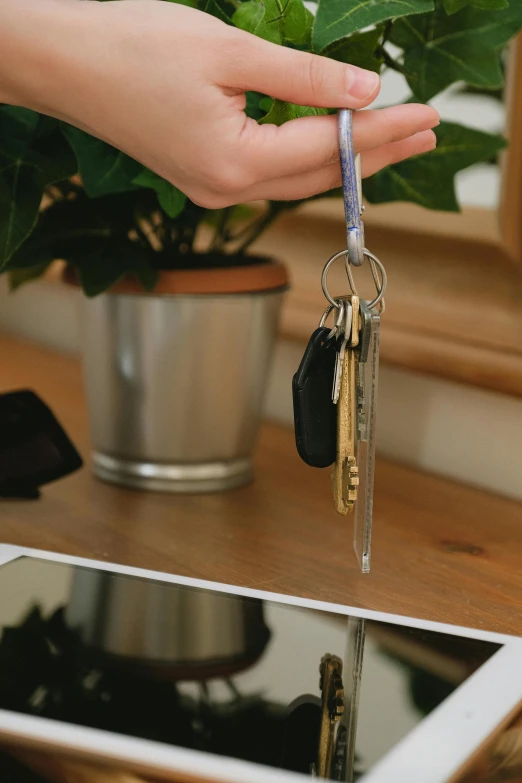 a person holding a bunch of keys in their hand, by Nina Hamnett, open plan, handcrafted, clear details, stainless steal