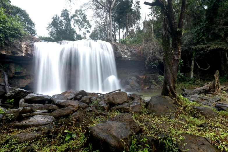 a waterfall in the middle of a forest, hurufiyya, unmistakably kenyan, preserved historical, slide show, no cropping