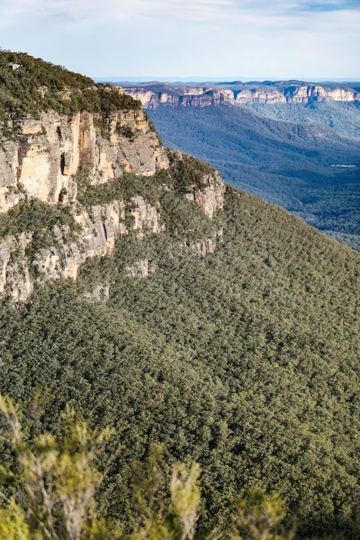 a group of people standing on top of a cliff, by Peter Churcher, on deep forest peak, gigapixel photo, bulli, the sphinx