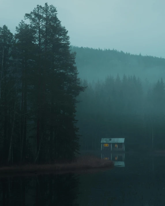 a boat floating on top of a lake next to a forest, inspired by Elsa Bleda, pexels contest winner, tonalism, cabin lights, ((forest)), gray fog, house in forest