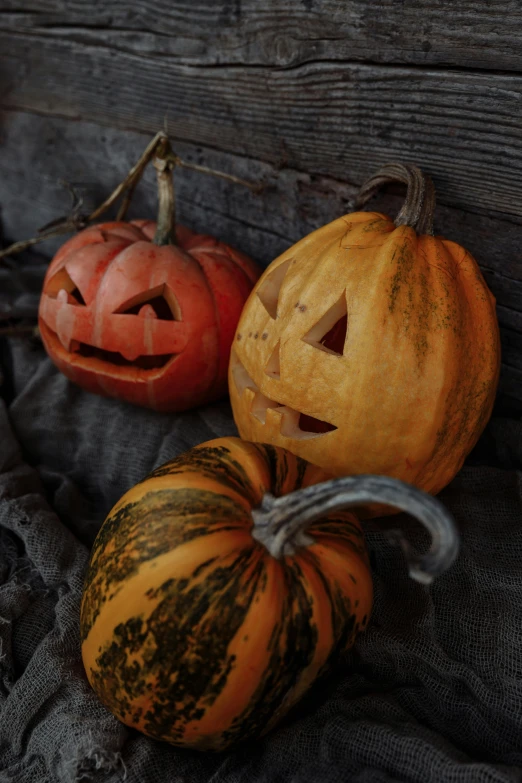 three pumpkins sitting next to each other on a table, pexels, vanitas, slide show, textured 3 d, worn, smiling