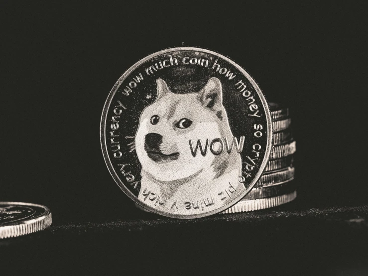 a doge coin sitting on top of a pile of coins, a black and white photo, by Julia Pishtar, trending on pexels, a painting of white silver, woof woof, mining, wojtek fus