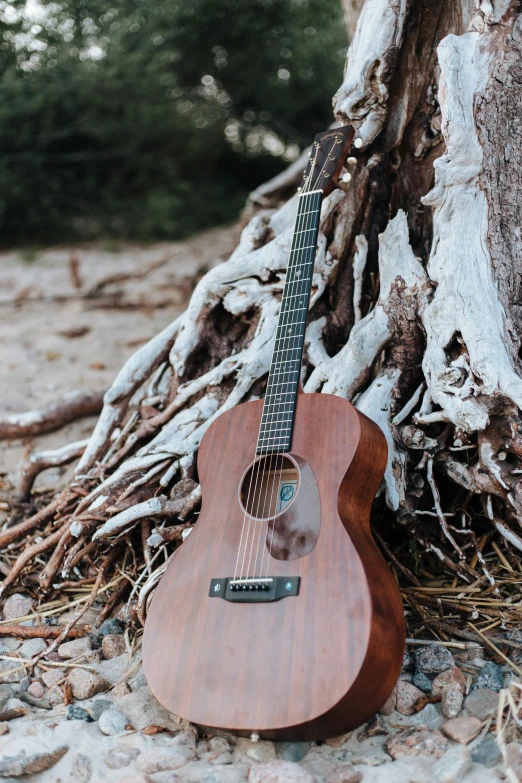 a guitar sitting in front of a tree stump, on the sand, sitting in a tree, on a wooden desk