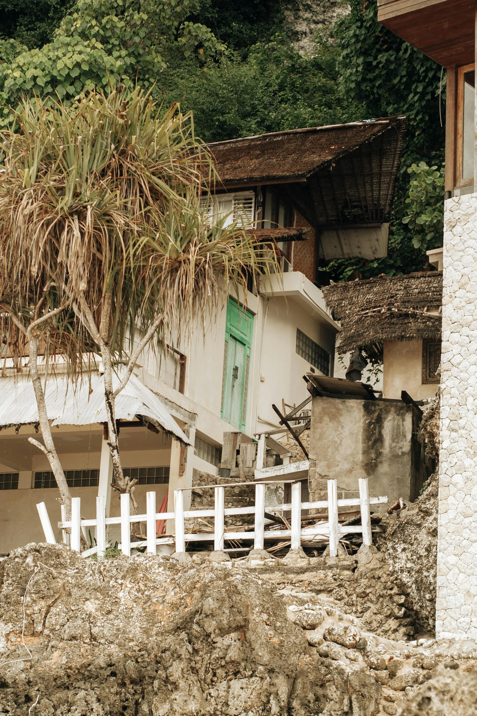 a horse that is standing in the dirt, house on a hill, flooded fishing village, fallen trees, bali