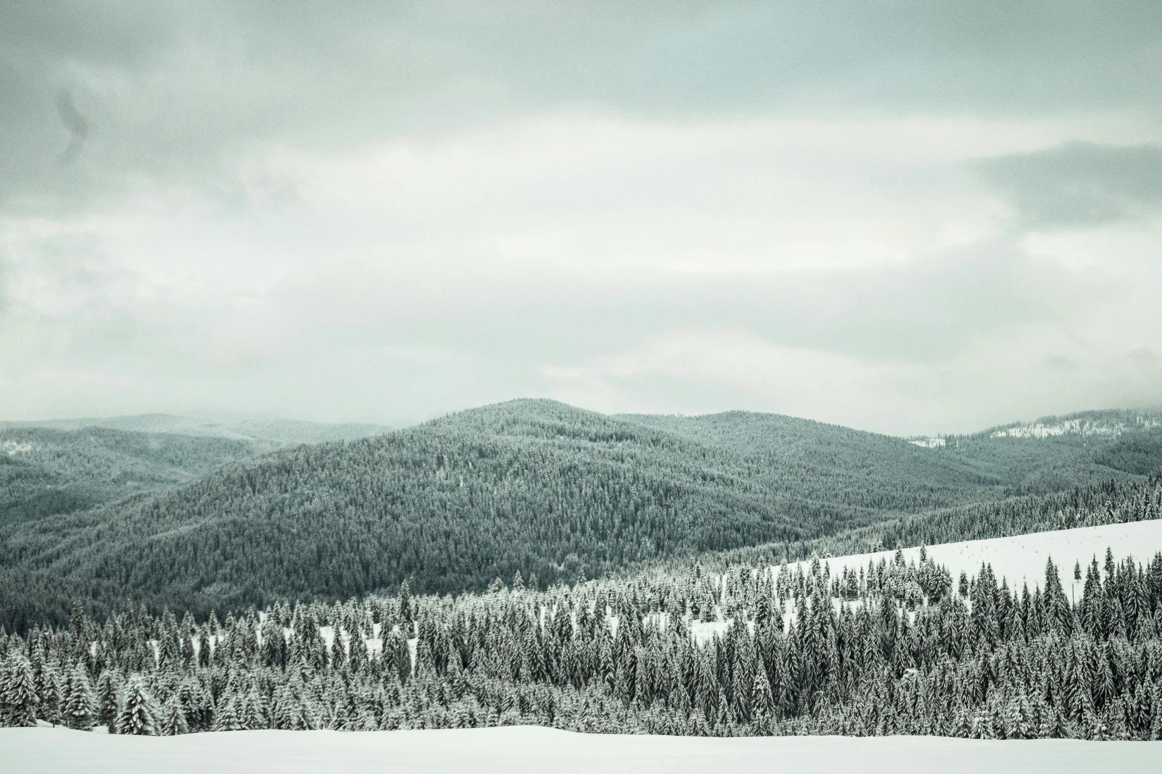 a man riding skis down a snow covered slope, by Emma Andijewska, unsplash contest winner, baroque, sparse pine trees, overcast skies, panorama, silver，ivory