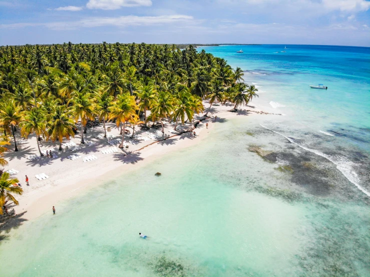 an aerial view of a beach with palm trees, by Francisco de Holanda, pexels contest winner, carribean turquoise water, instagram post, tourist, cozy