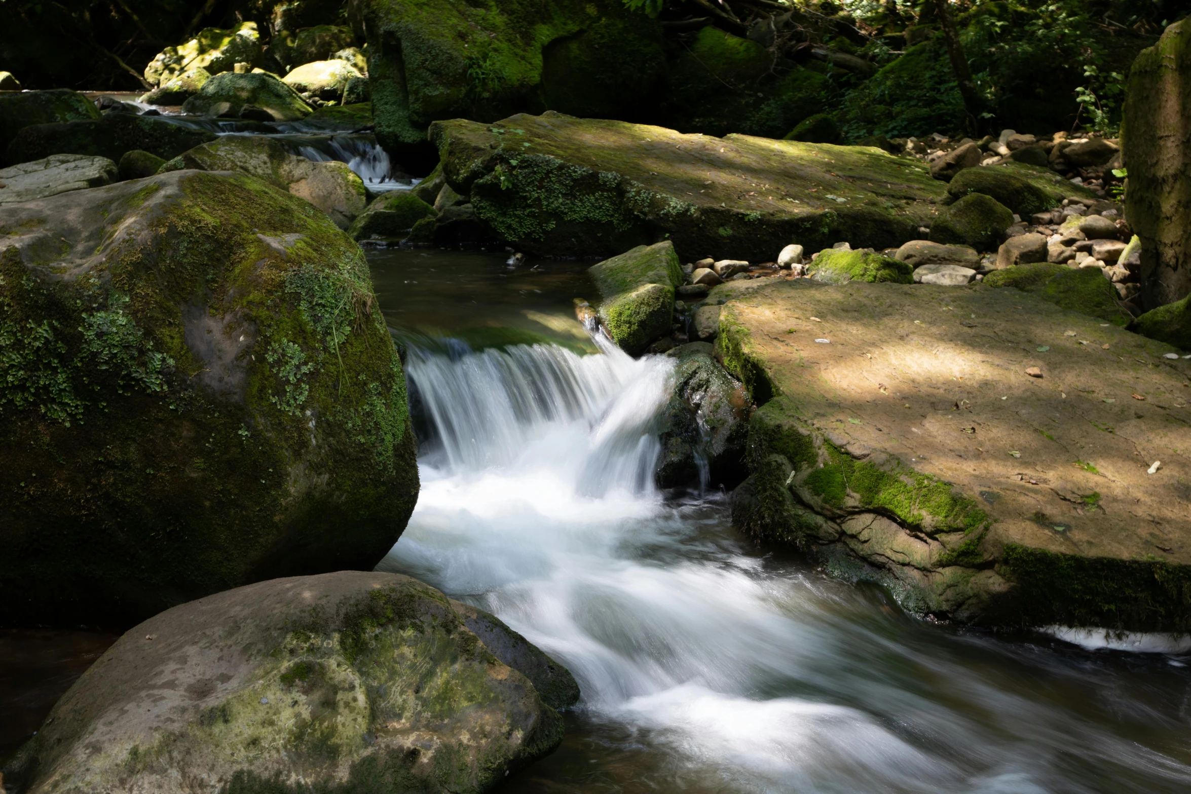a stream running through a lush green forest, an album cover, pexels contest winner, hurufiyya, in karuizawa, running water, brown, slide show