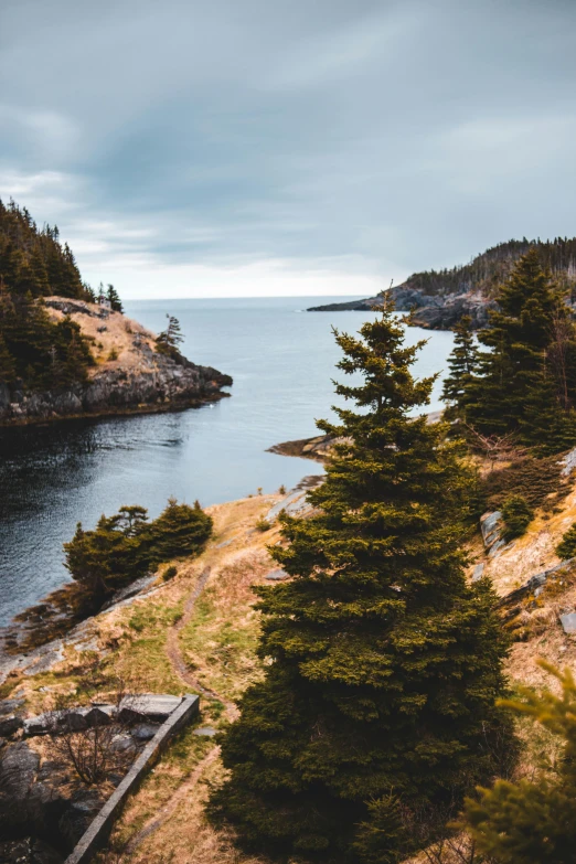 a large body of water surrounded by trees, by Jessie Algie, pexels contest winner, coastal cliffs, slide show, quebec, maritime pine