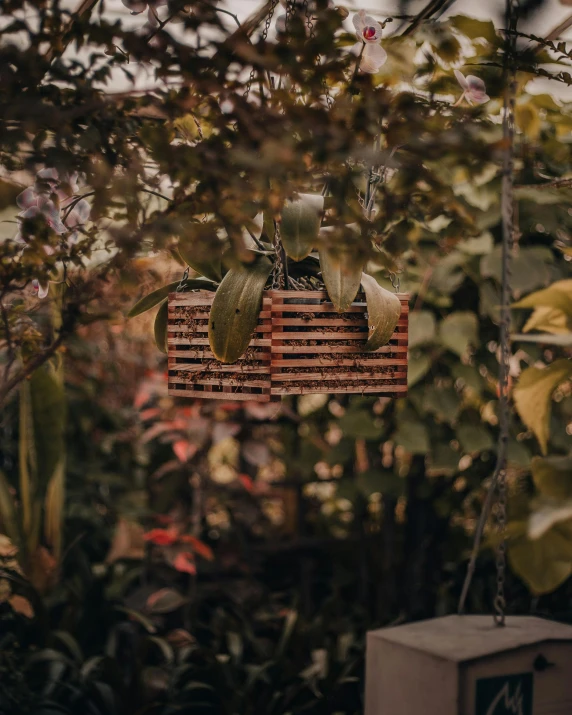 a basket hanging from a tree in a garden, an album cover, by Emma Andijewska, unsplash contest winner, striped, rammed earth courtyard, wooden jewerly, view