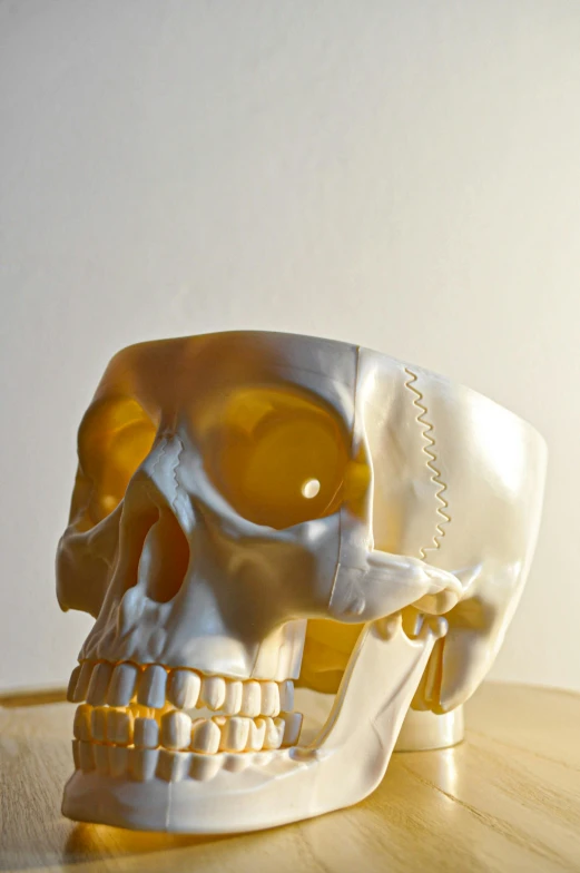 a white skull sitting on top of a wooden table, a surrealist sculpture, unsplash, hyperrealism, gold plated, 3 d print, yellow, medical