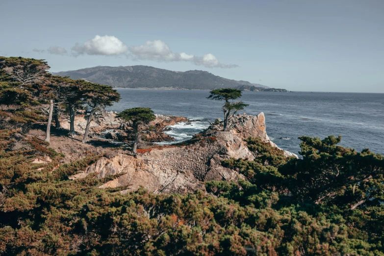 a large body of water surrounded by trees, by Carey Morris, unsplash contest winner, renaissance, coastal cliffs, cypress trees, overlooking the ocean, ignant