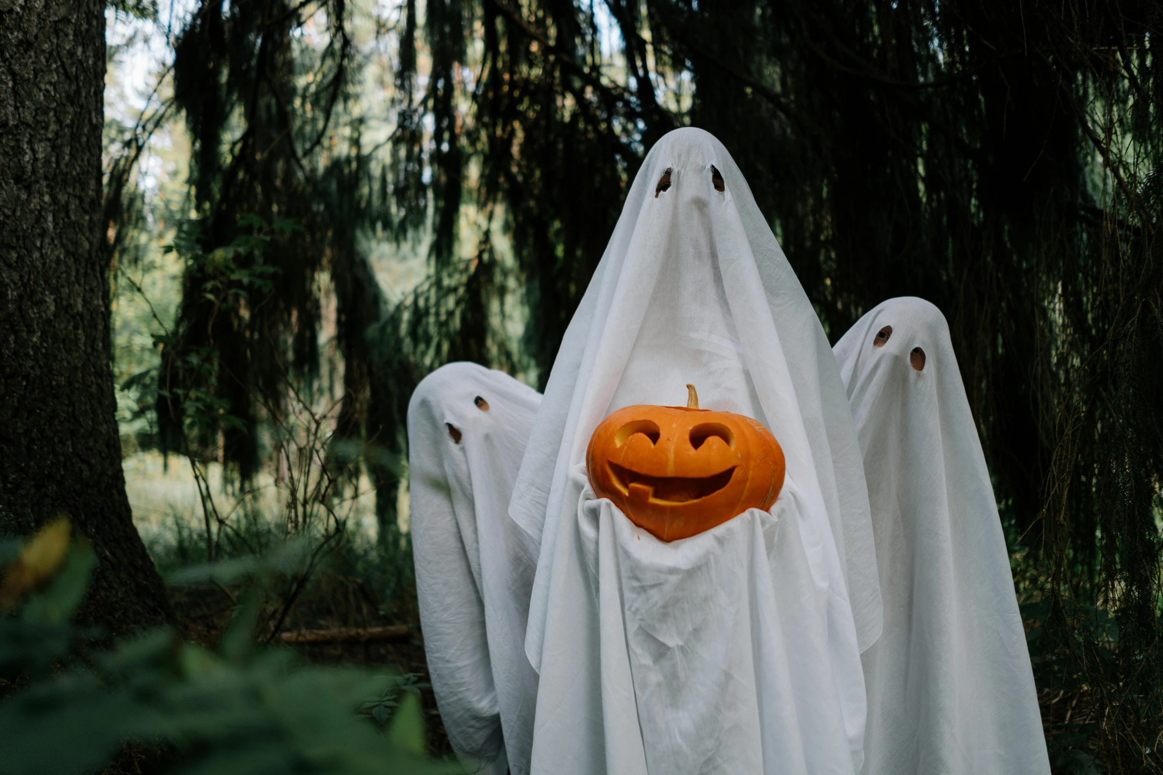 a group of ghosts with a pumpkin in the middle of them, pexels contest winner, white cape, ☁🌪🌙👩🏾, photo for a magazine, photo still of