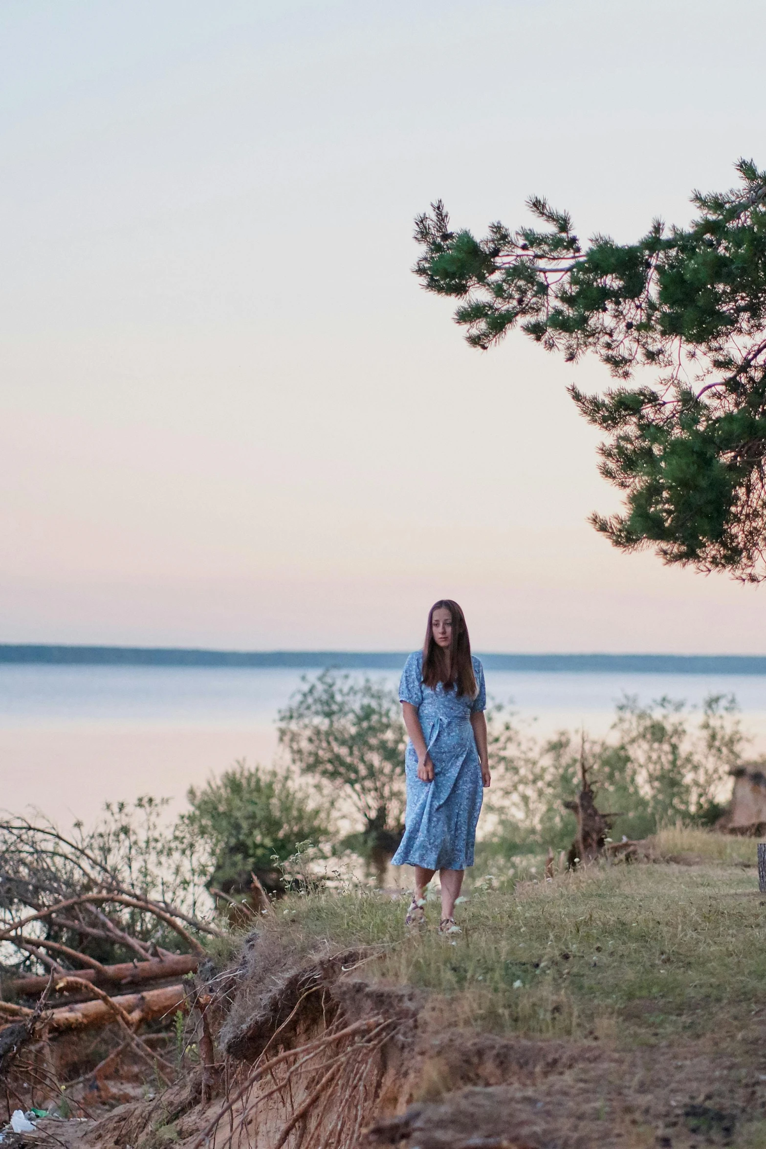 a woman in a blue dress standing next to a tree, by Grytė Pintukaitė, unsplash, happening, lake house, low quality photo, sunset photo, looking serious