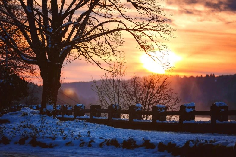 a tree that is standing in the snow, pexels contest winner, sunset in a valley, cannon snow covered trees, thumbnail, brown