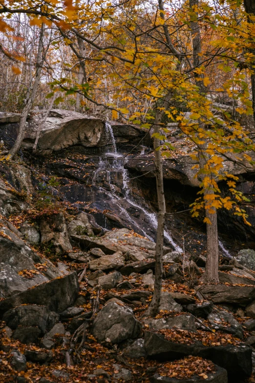 a waterfall in the middle of a wooded area, falling leaves, rocky terrain, looking away from camera