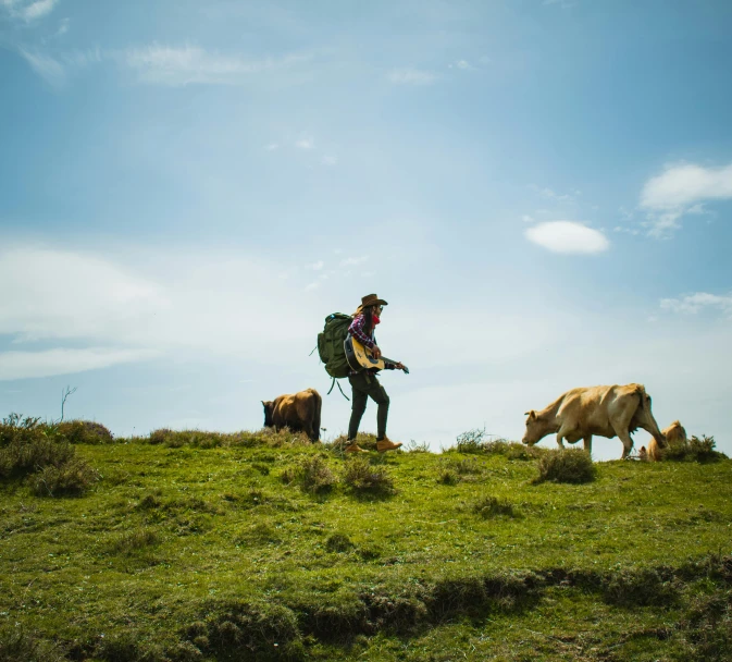 a man standing on top of a lush green hillside, by Daniel Seghers, pexels contest winner, both men and cattle, carrying survival gear, avatar image, with dogs