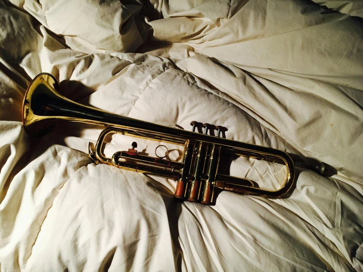 a close up of a trumpet on a bed, by David Garner, unsplash, hyperrealism, 2000s photo, ✨🕌🌙, iphone picture, sleepers