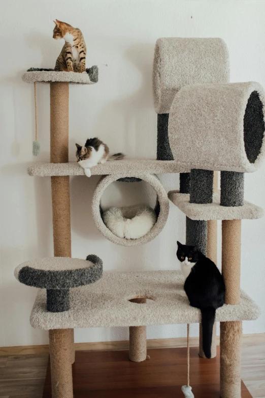 a group of cats sitting on top of a cat tree, by Julia Pishtar, trending on pexels, conceptual art, made of wool, two organic looking towers, activity play centre, with ornamental edges