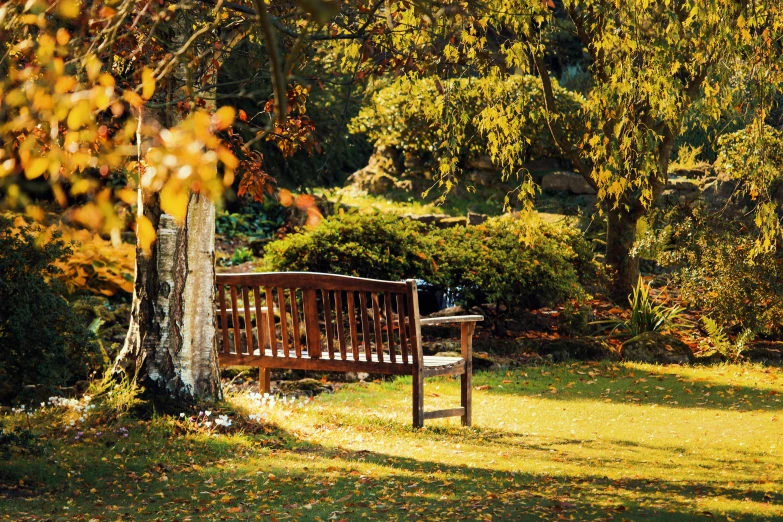 a wooden bench sitting on top of a lush green field, arts and crafts movement, autumnal colours, lots of sunlight, formal gardens, where being rest in peace