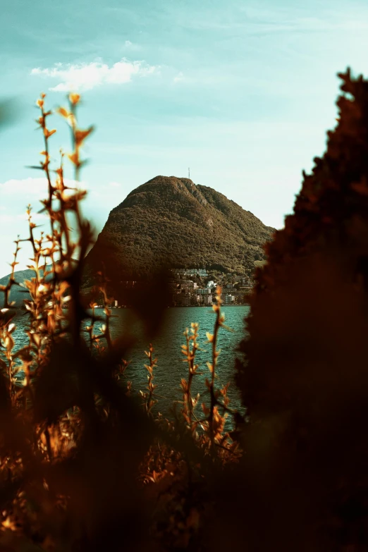 a view of a body of water with a mountain in the background, inspired by Elsa Bleda, renaissance, overgrown city, hasselblad photography, brown flowers, italy