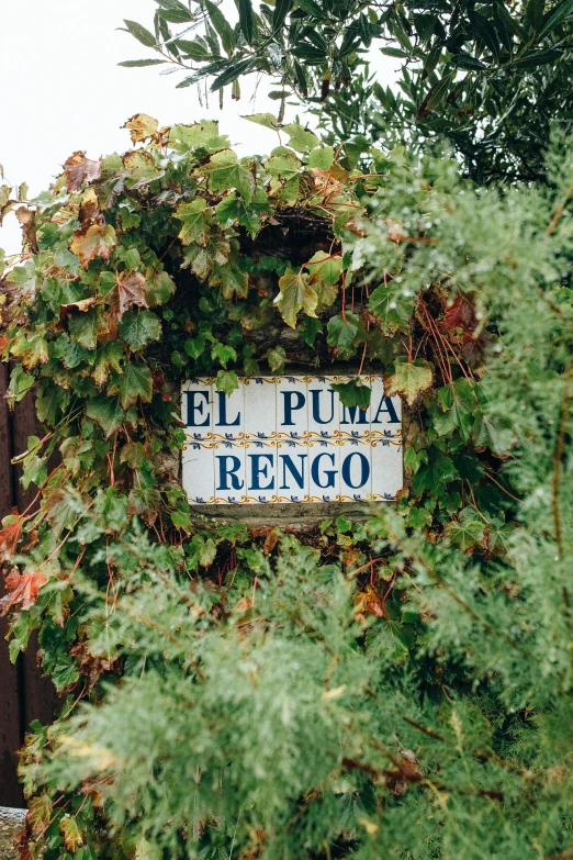 a sign that is on the side of a fence, inspired by Ramón Piaguaje, featured on pinterest, rococo, shrubs, 2 5 6 x 2 5 6 pixels, up close picture, vines hanging down