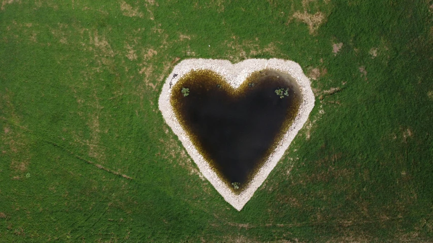 a heart shaped hole in the middle of a field, by Attila Meszlenyi, pexels contest winner, land art, dark green water, miro, cupid, tar - like