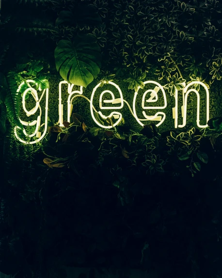 a neon sign that says green on it, an album cover, inspired by Art Green, trending on pexels, sustainable materials, profile pic, evergreen, greenish skin