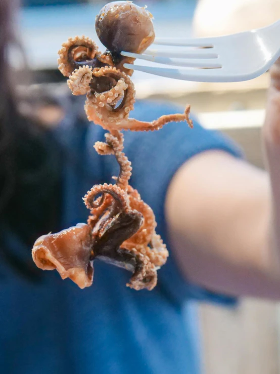 a close up of a person holding a fork with food on it, tentacled creature mix, hanging upside down, brown, oceanside