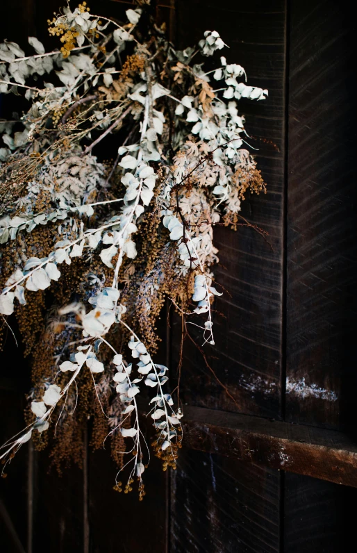 a bunch of dried flowers hanging from a wooden wall, by Gwen Barnard, slide show, frost, woody foliage, half image