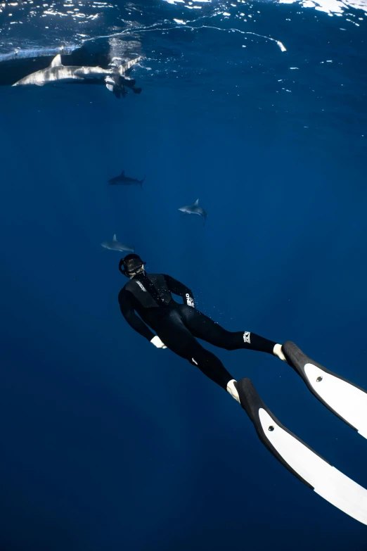 a man in a wet suit swimming next to a shark, by Robert Jacobsen, happening, fujifilm”, extreme panoramic, high resolution, f/9