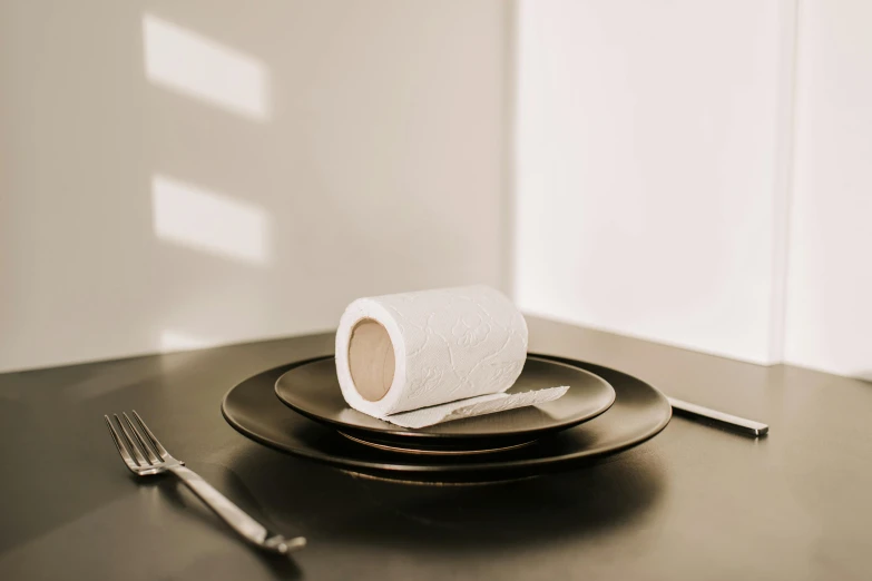a plate with a roll of toilet paper on it, unsplash, kitchen table, background image, close-up photograph, various posed
