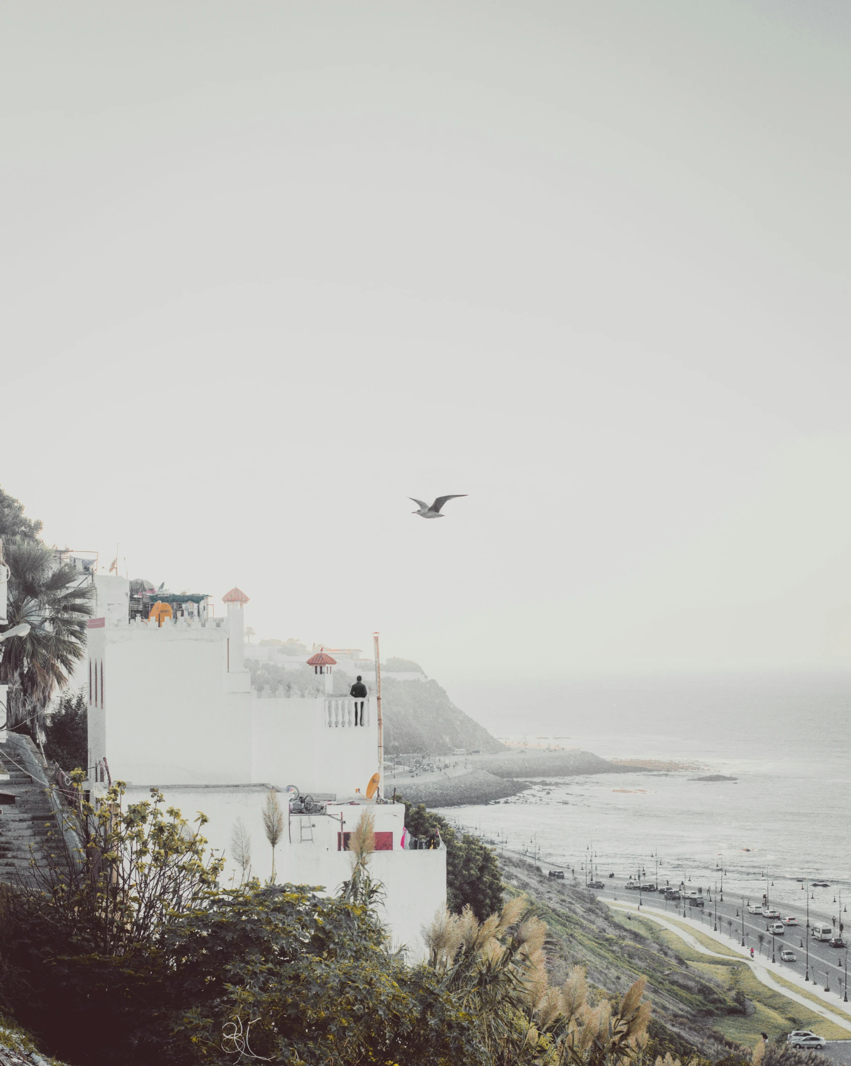 a white building sitting on top of a hill next to the ocean, by Lucia Peka, unsplash contest winner, visual art, flying birds in the distance, vintage photo, background image, moroccan city