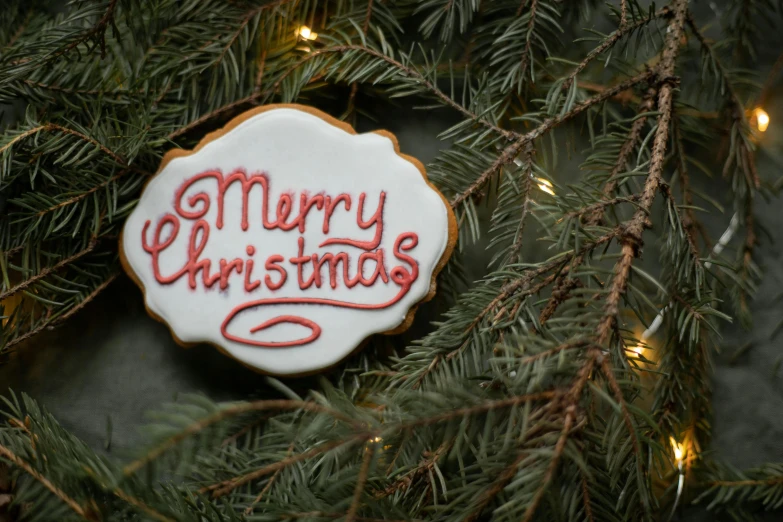 a decorated cookie sitting on top of a christmas tree, inspired by Ernest William Christmas, pexels, graffiti, message, white, ceramic, merry england