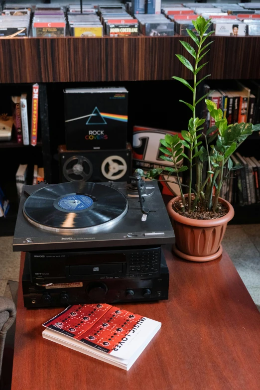 a record player sitting on top of a wooden table, next to a plant, library, hans zimmer soundtrack, cds