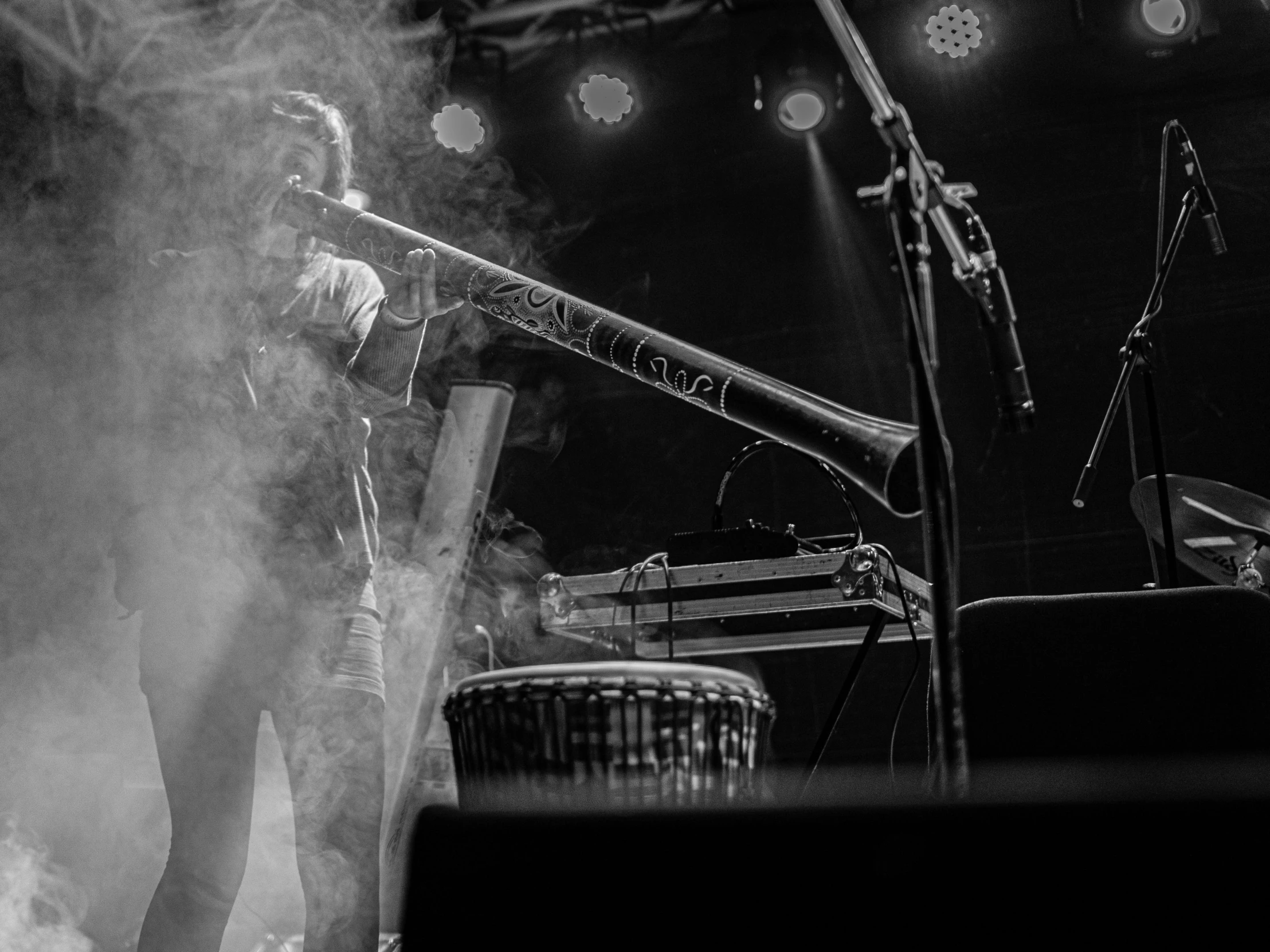 a man that is standing in front of a microphone, a black and white photo, by Kristian Zahrtmann, band playing instruments, smoking a magical bong, female gigachad, big guns