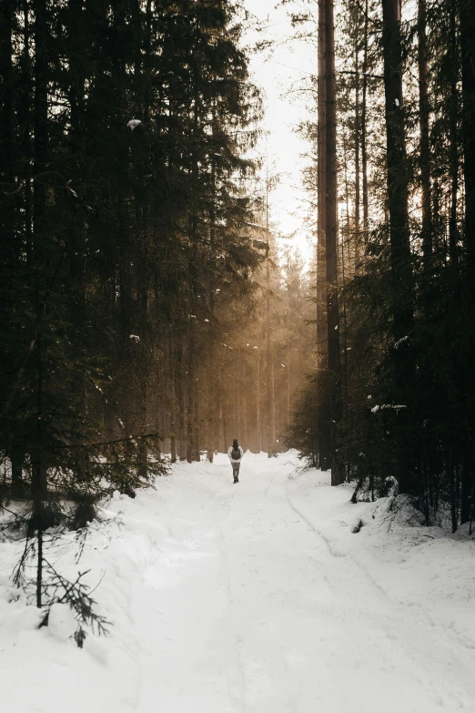 a person riding skis down a snow covered slope, by Grytė Pintukaitė, pexels contest winner, minimalism, enjoying a stroll in the forest, back lit, on forest path, religious