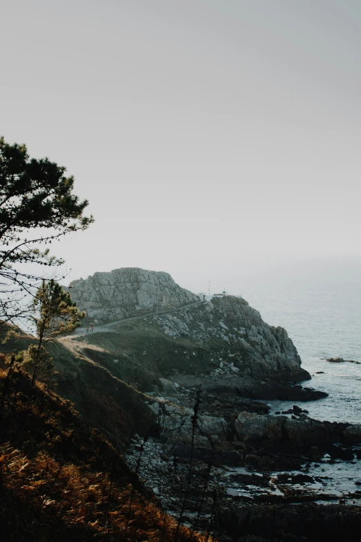 a tree sitting on top of a cliff next to the ocean, hazy, rocky coast, pine forests, landscape photograph